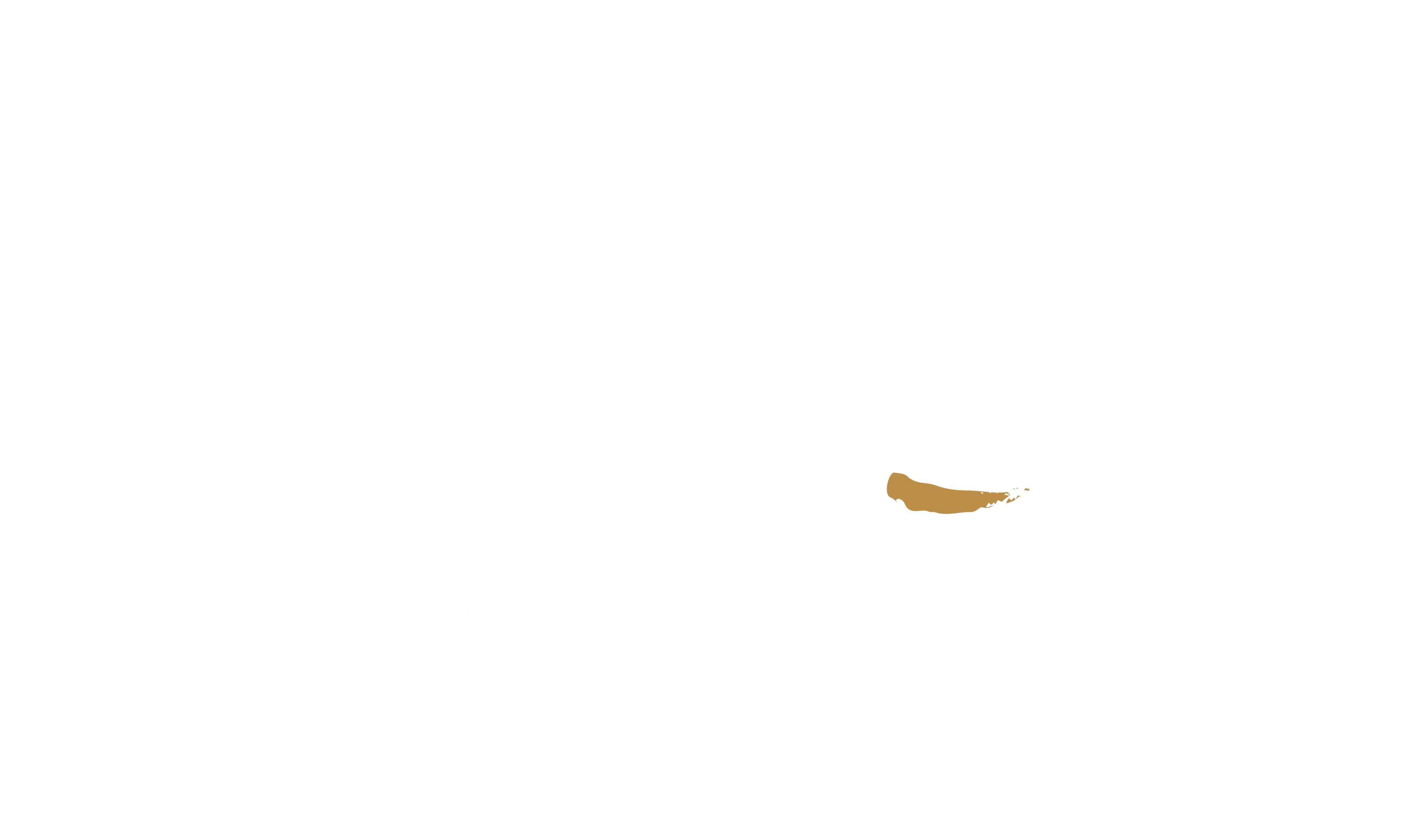 Banzé Na Petiscaria logo