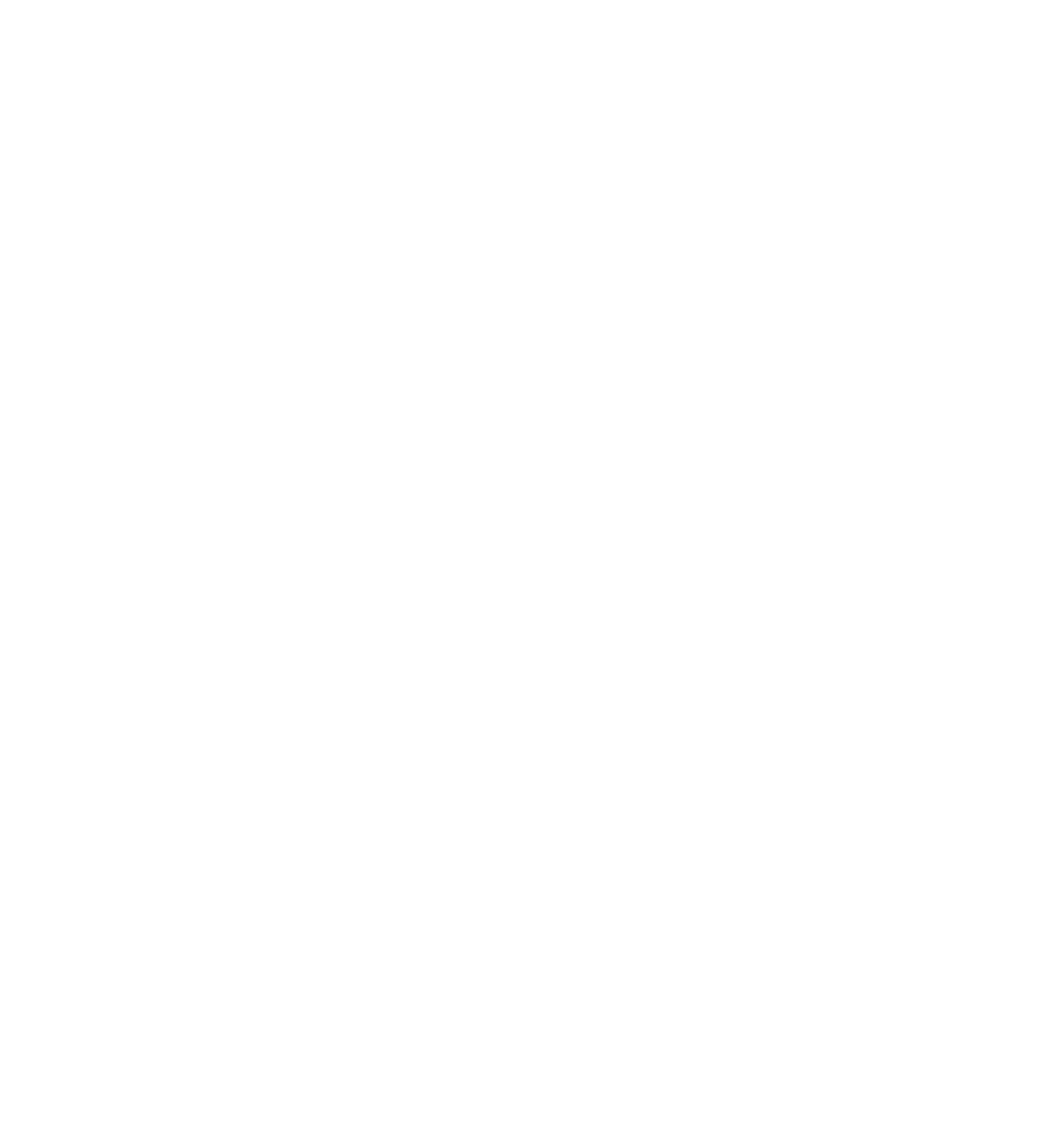 Tua Madre logo