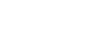 LIZ logo