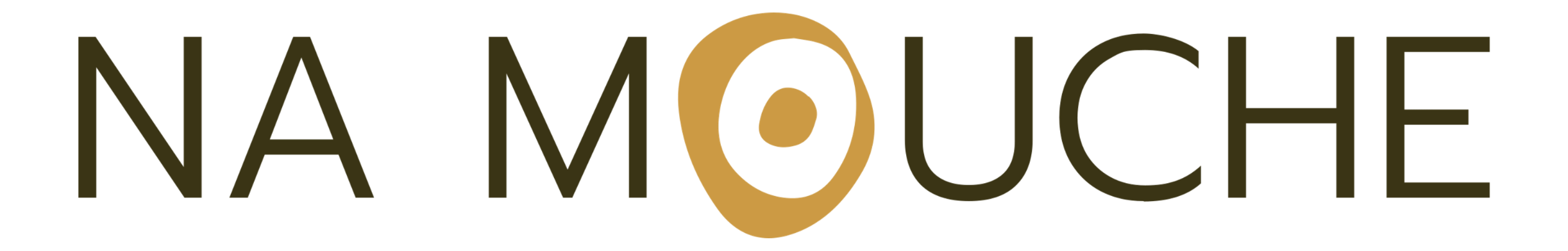 Na Mouche logo