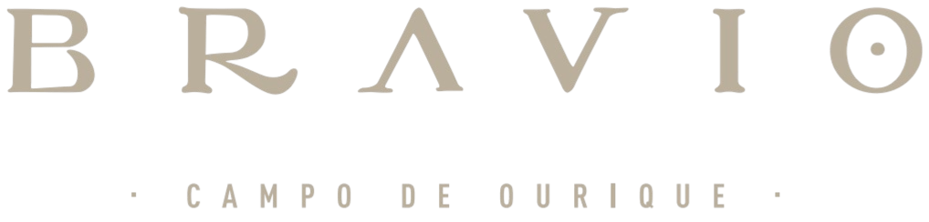 Bravio Steakhouse logo