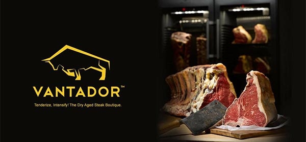 Vantador logo