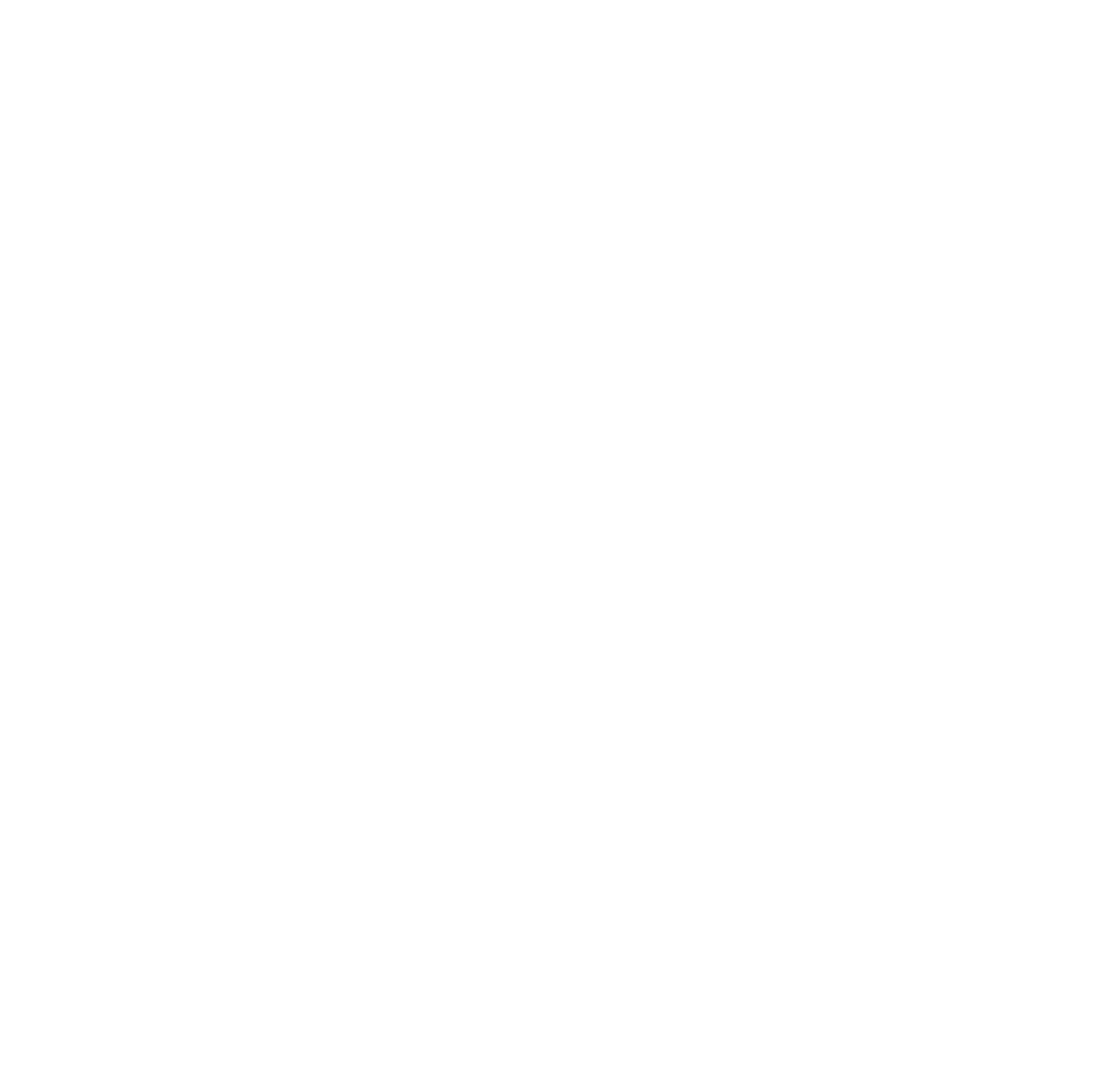 Criss Studio logo