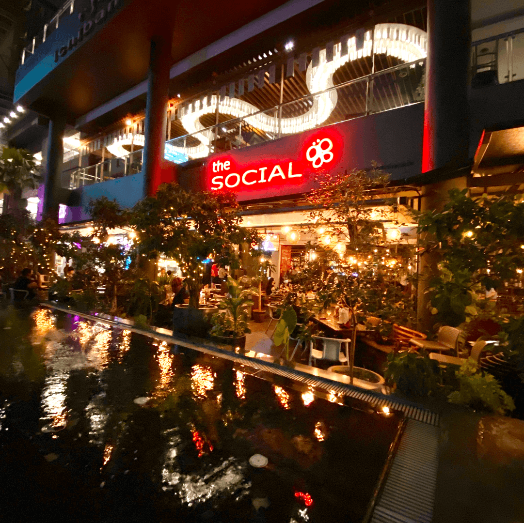 The Social Background image