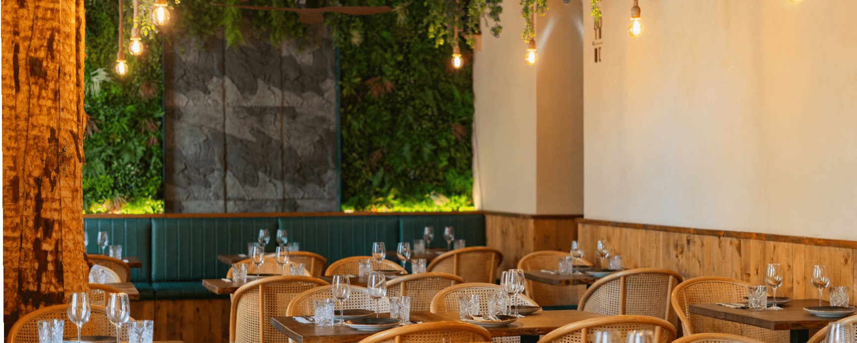 Kong Background image