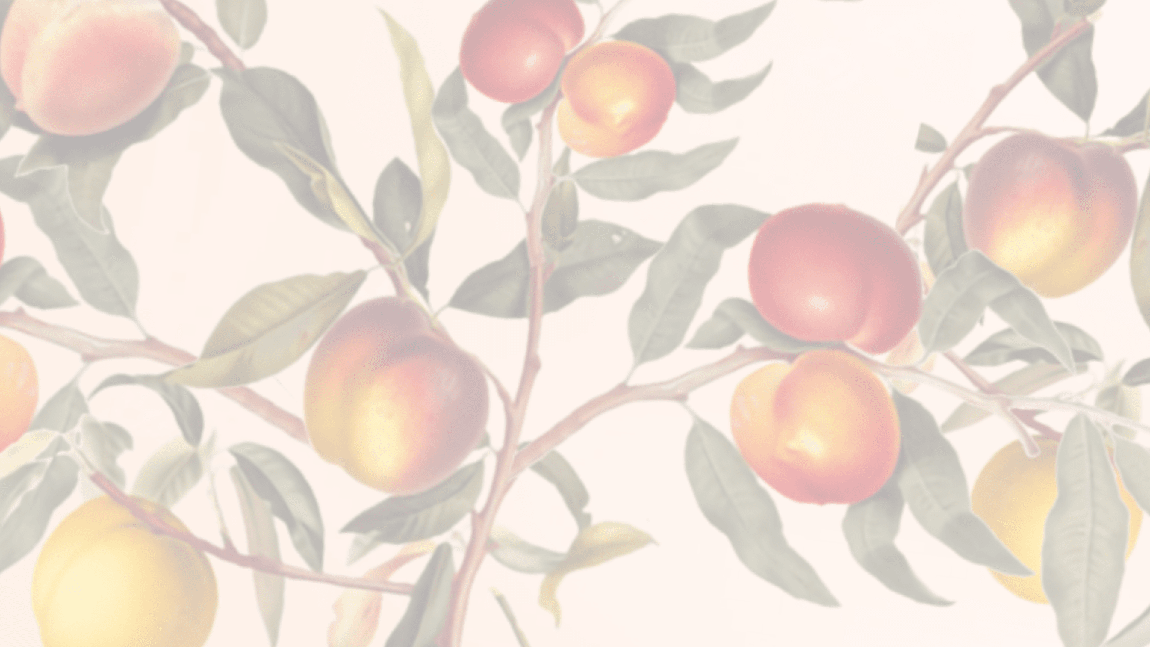 Peaches and Cream Background image