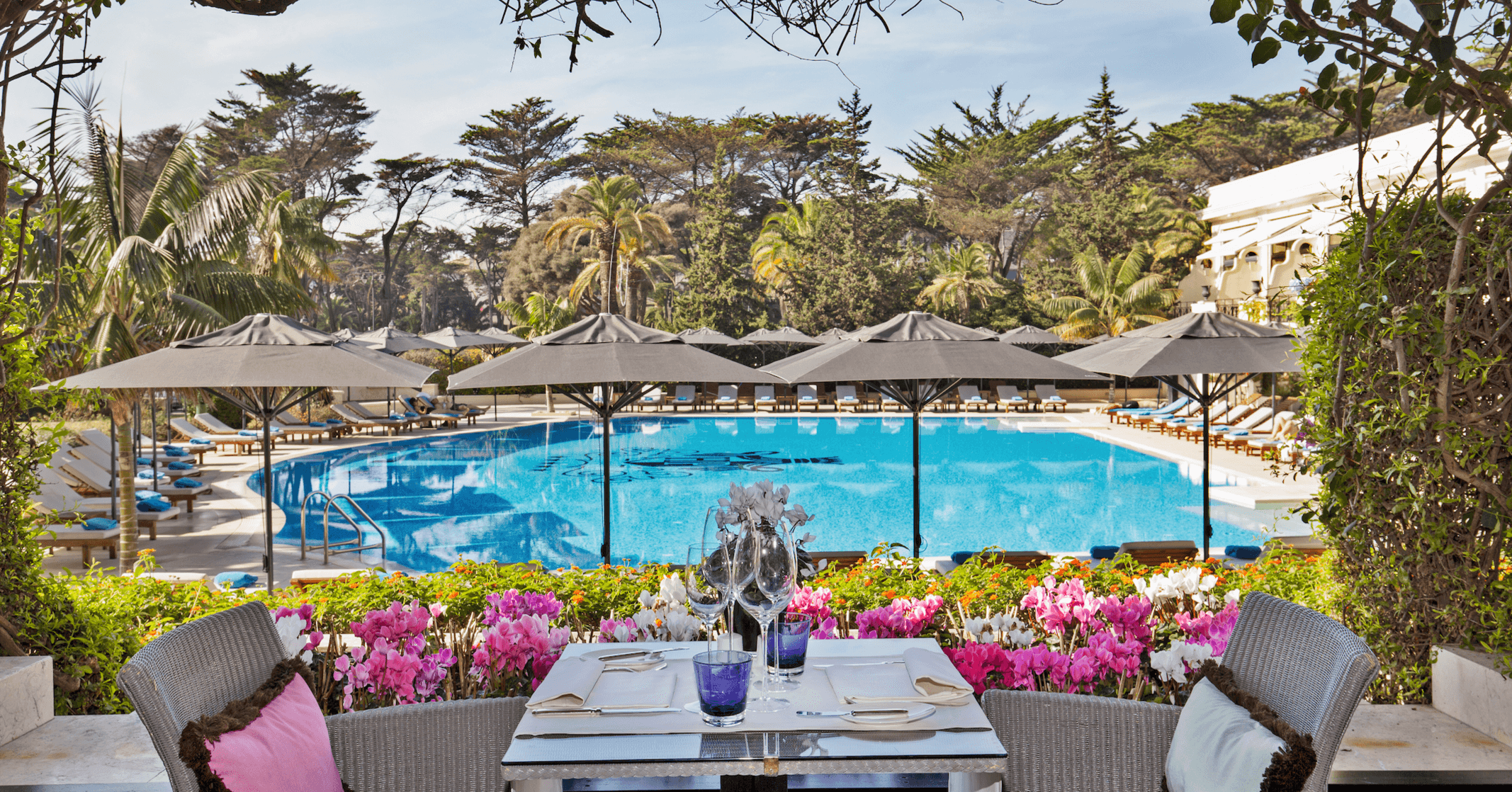 Bougainvillea Terrace  Background image