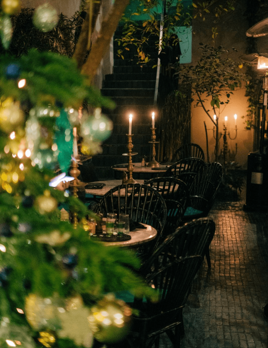 Le Jardin Image de fond
