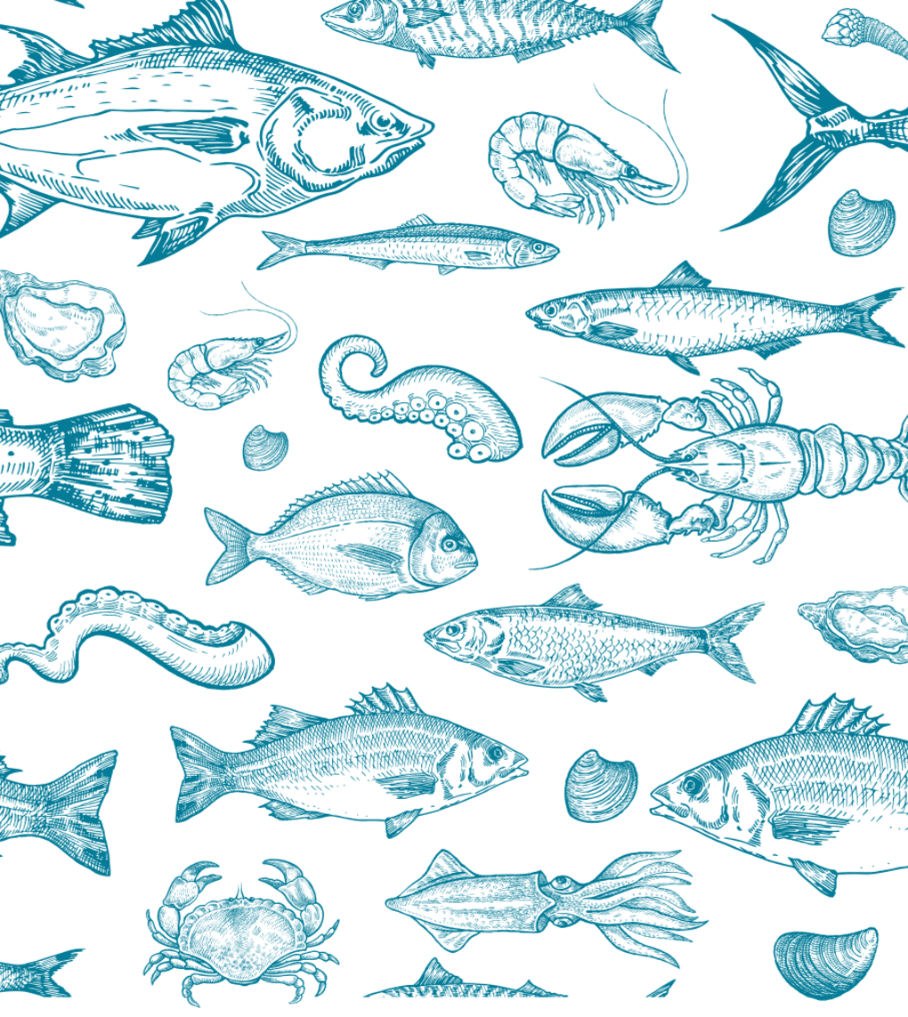Pinga Amor Marisqueira Background image